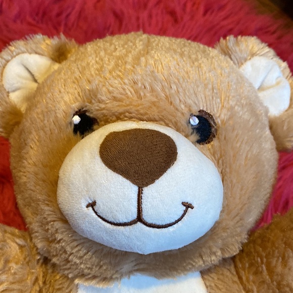 Build A Bear Teddy - Picture 3 of 6